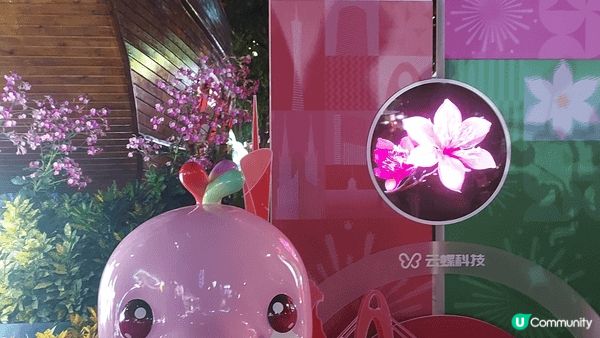 去看廣州塔， 一定要坐地鐵去廣州花城廣場看，這是最佳的拍攝廣...