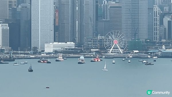 維港海上大巡遊，在維港海上航行，適合一家大細觀賞的活動。#美...