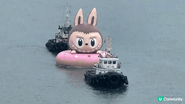 維港海上大巡遊，在維港海上航行，適合一家大細觀賞的活動。#美...