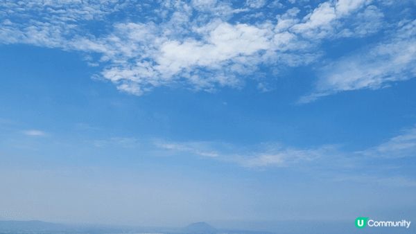 濟州天氣一流，6月有繡球花，藍藍嘅海，仲有滿綠色嘅茶鋪園，悠...