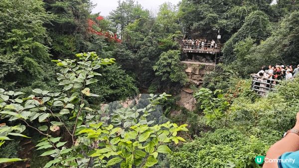 在旅遊淡季遊覽湖南張家界國家森林公園，不會很擠擁，可惜當日早...