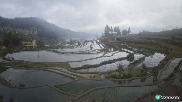 雲南特色美景