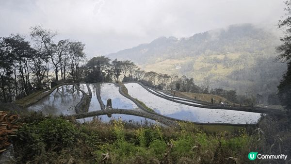 雲南特色美景
