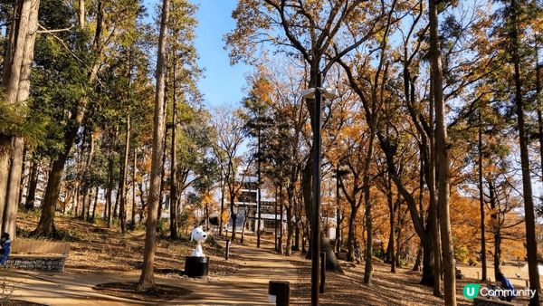 南町田 Grandberry Park（格蘭貝里公園）」