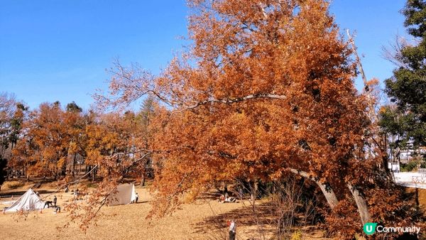 南町田 Grandberry Park（格蘭貝里公園）」