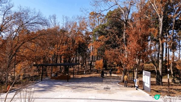 南町田 Grandberry Park（格蘭貝里公園）」