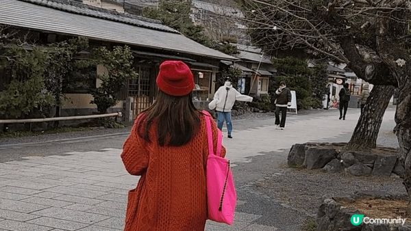 ❄️ 嵐山的冬日魔法❄️