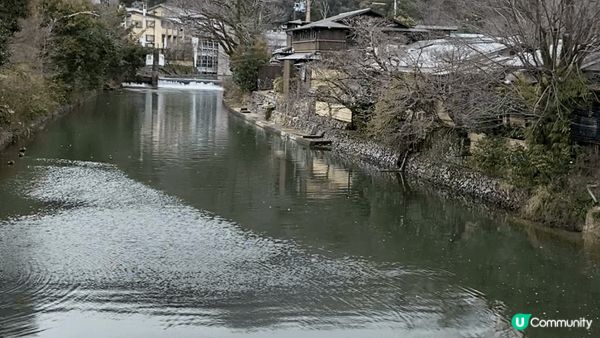 ❄️ 嵐山的冬日魔法❄️