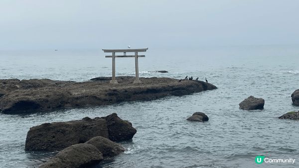秋意，濃濃的日本🇯🇵