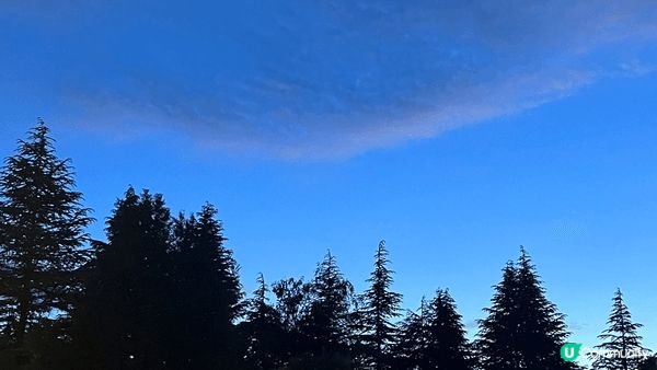 紐西蘭皇后鎮呢個地方真係靚得好緊要！ 我覺得如果有機會真係要...