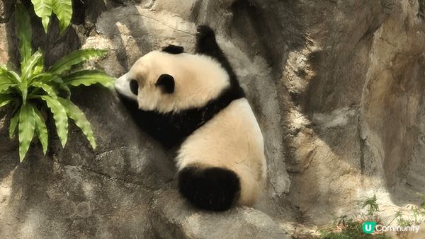 唔同嘅節日去不同嘅商場同各類嘅藝術擺設影相打卡,又可以入吓海...