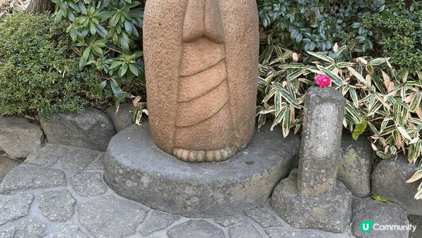 今年年初去日本
