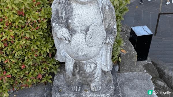 今年年初去日本