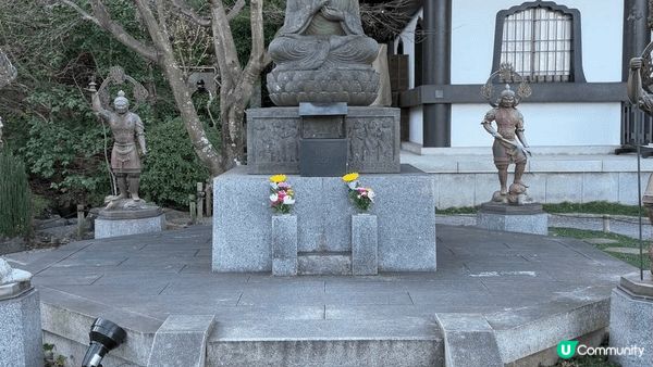今年年初去日本