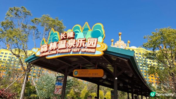 這兩張相片展現了長頸鹿的奇妙世界：一張是充滿童趣的長頸鹿主題...