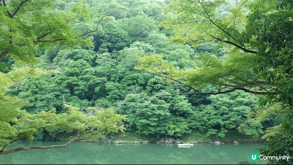 嵐山─距離京都車站大約半個鐘車程，風景優美，美食選擇多
