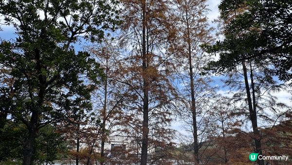 河源客家文化公園，座落於廣東省河源市城區核心地帶，每年的12...