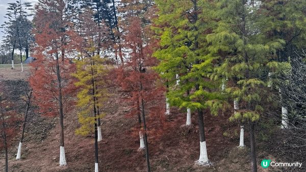 河源客家文化公園，座落於廣東省河源市城區核心地帶，每年的12...