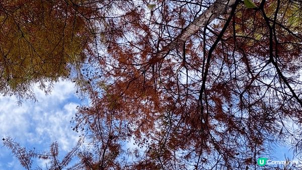 河源客家文化公園，座落於廣東省河源市城區核心地帶，每年的12...