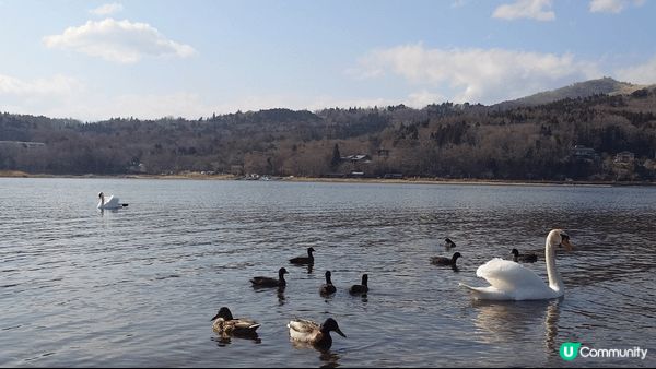山中湖- 長池親水公園+平野之濱，比河口湖少人，都係欣賞富士...