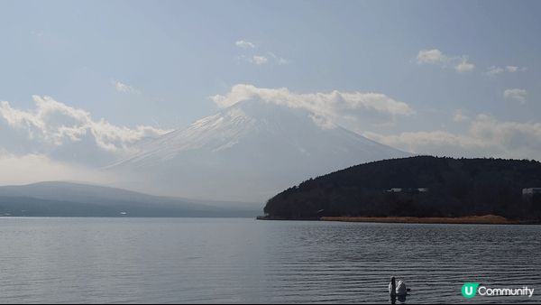 山中湖- 長池親水公園+平野之濱，比河口湖少人，都係欣賞富士...