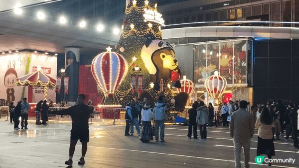 今個聖誕去咗成都睇熊貓, 聽到熊貓嘅咀嚼聲, 亦都親眼睇到熊...