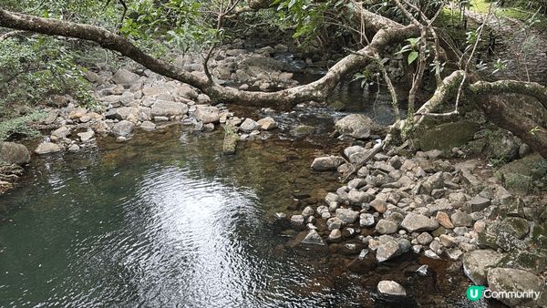 城門水塘是一個享有自然美景的打卡點🍃，無論是拍照還是享受寧靜...