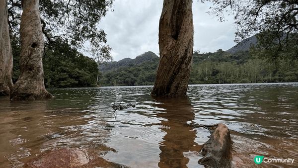 城門水塘是一個享有自然美景的打卡點🍃，無論是拍照還是享受寧靜...