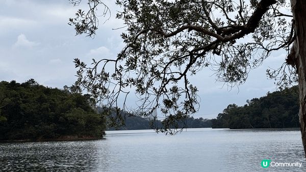 城門水塘是一個享有自然美景的打卡點🍃，無論是拍照還是享受寧靜...
