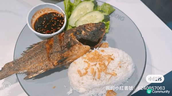 印尼暫時未去過，但原來印尼菜都幾岩口味，有燒魚椰汁飯，椰青鲜...