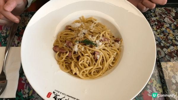 美食之旅大鵬灣區及香港美食之行，盡享美食、享受悠閑退休生活。...