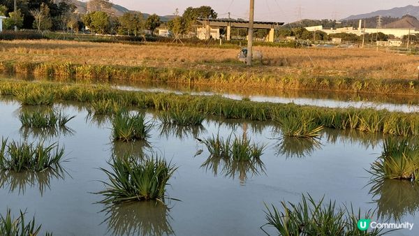 sunset moment's view＆feel