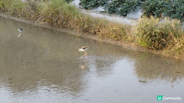 sunset moment's view＆feel