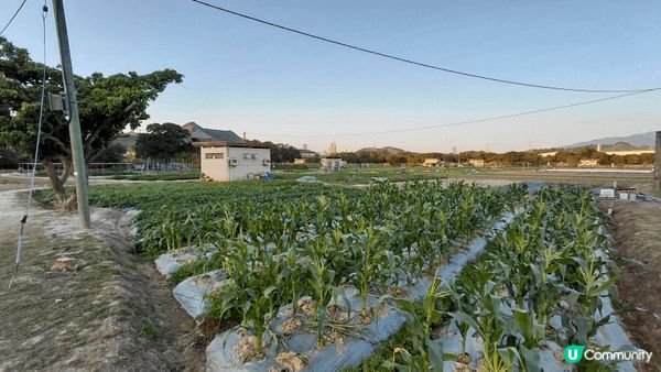 sunset moment's view＆feel