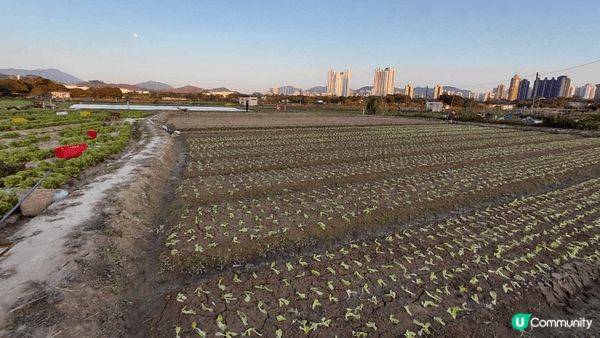 sunset moment's view＆feel