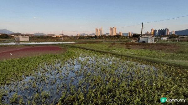 sunset moment's view＆feel