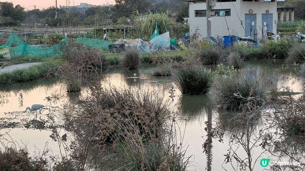 sunset moment's view＆feel