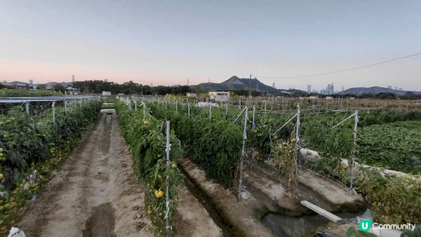 sunset moment's view＆feel