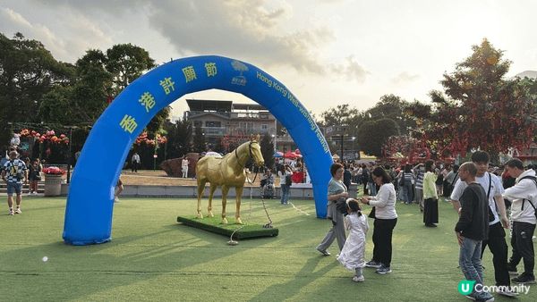 新春林村拉頭馬