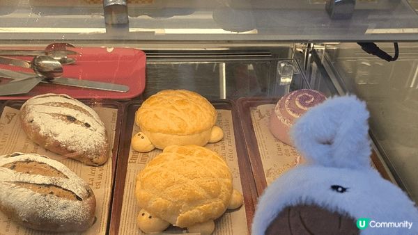 總是覺甜品是不可或缺的食物，特別顏色漂亮造型吸引，望見都開心...