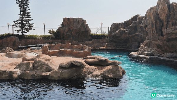 主題樂園同埋郊野公園面積咁大，真係行幾日都行唔晒