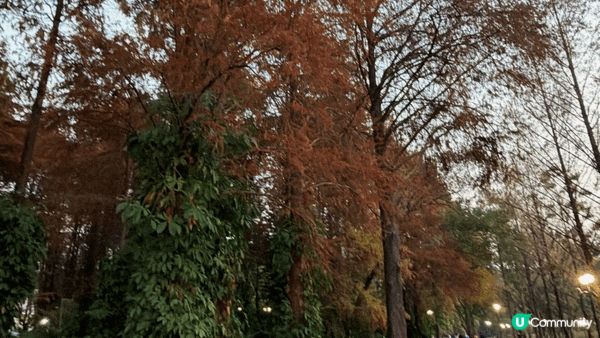 主題樂園同埋郊野公園面積咁大，真係行幾日都行唔晒