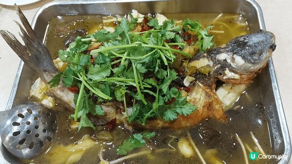 酸菜魚煲，有魚食亦都可以食到酸菜開開胃胃，亦都配啲薯粉令到有...