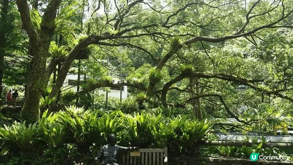 香港嘉道理農場，非常適合親子遊或大自然愛好者，可以觀察多種被...