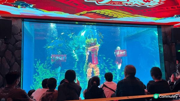 今次去了觀瀾湖生態運動公社，觀瀾海洋世界，有美人魚表演、水族...