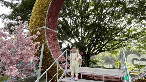 今次去了觀瀾湖生態運動公社，觀瀾海洋世界，有美人魚表演、水族...