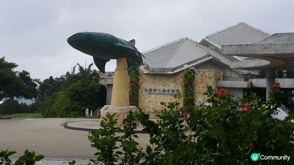去日本睇到水族館，又可以欣賞到精彩海洋表演，實在是人生樂事，...