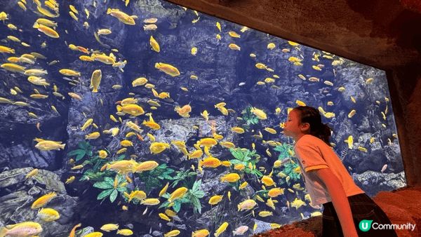 珠海長隆飛船樂園，上面係酒店下面係樂園，完全唔洗離開同一個地...