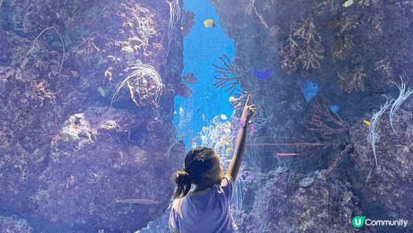 珠海長隆飛船樂園，上面係酒店下面係樂園，完全唔洗離開同一個地...