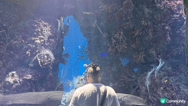 珠海長隆飛船樂園，上面係酒店下面係樂園，完全唔洗離開同一個地...